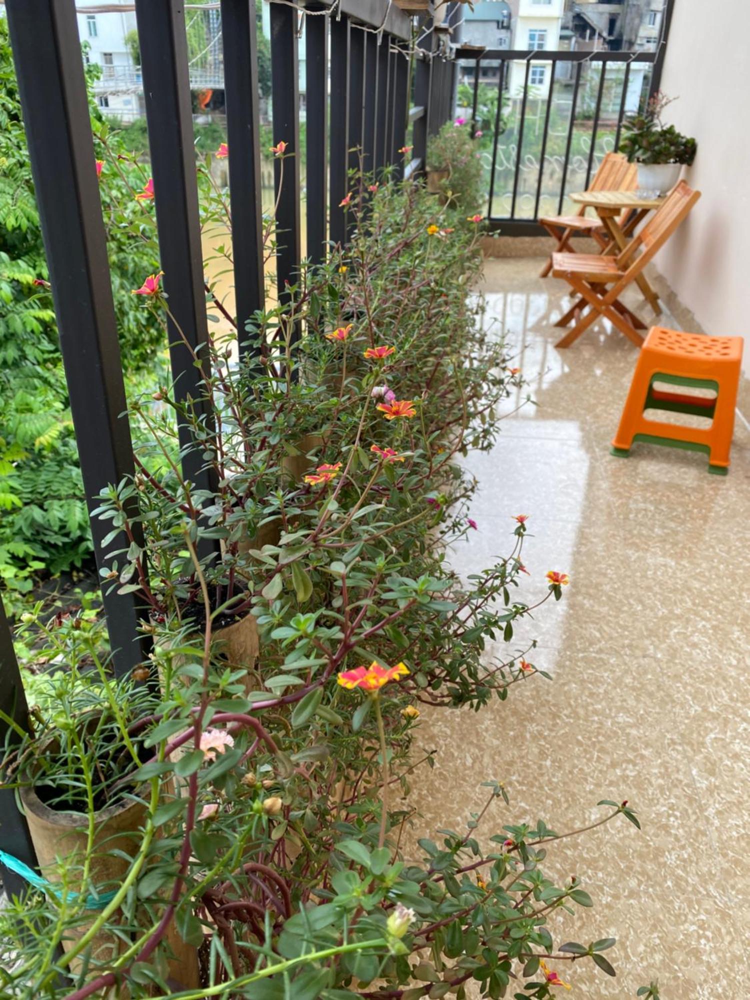 Dh Homestay Каобанг Экстерьер фото